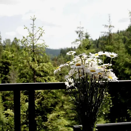 Spitzbergen House Domek alpejski Orawczyk