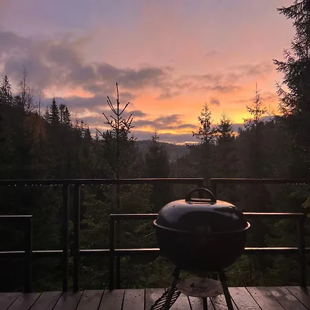 Domek alpejski Spitzbergen House *