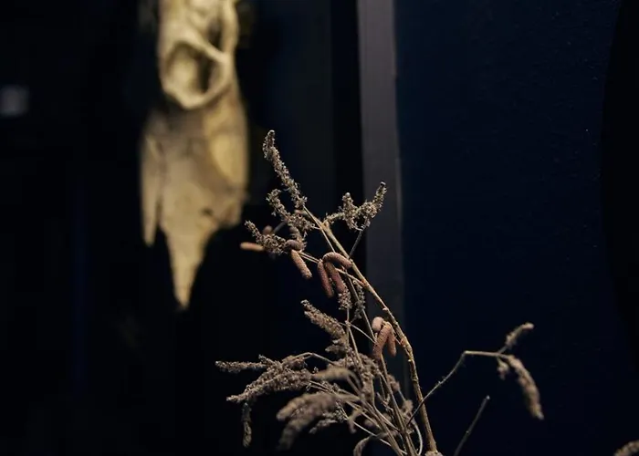 Spitzbergen House オリアウチック