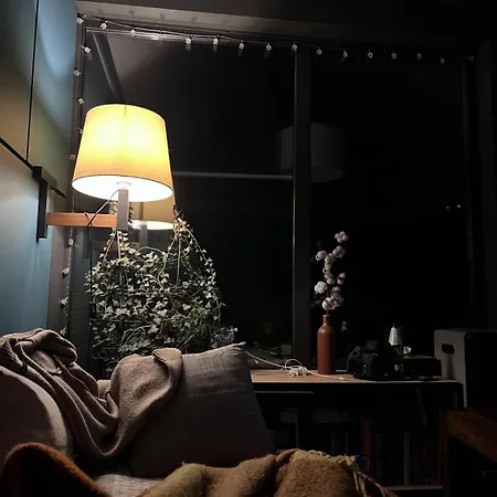 Spitzbergen House 木屋 奥尔亚维奇克