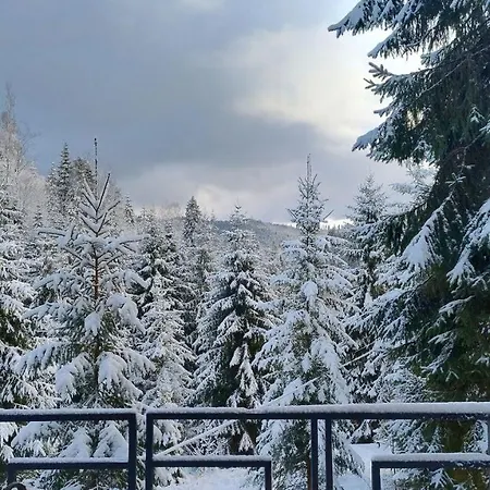 Spitzbergen House 奥尔亚维奇克