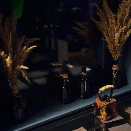 Spitzbergen House * 奥尔亚维奇克