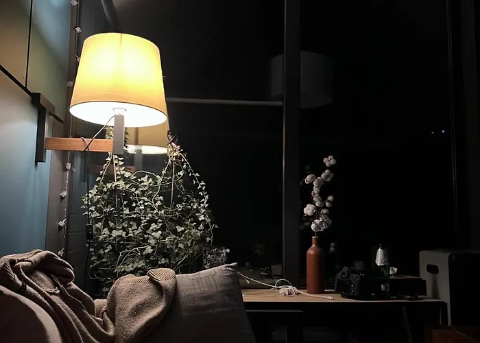 Spitzbergen House 木屋 奥尔亚维奇克